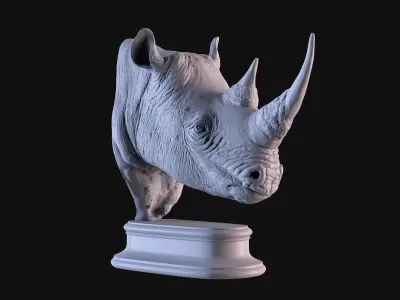 Rhinoceros head 3D print model