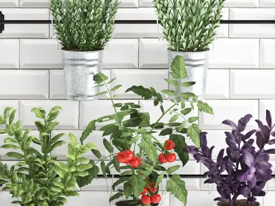 Decorative plants for the kitchen on railing 380 4 3D model
