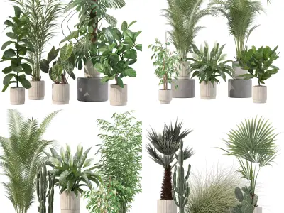 20 Photorealistic Flowers for Interiors - set 202 205 213 216 3D Model Collection