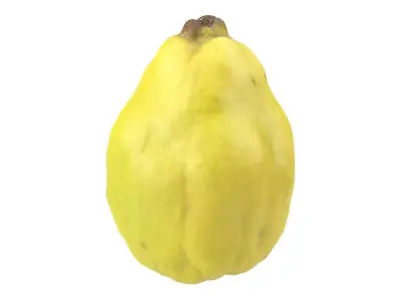 Photorealistic Quince 3D Scan 3D model