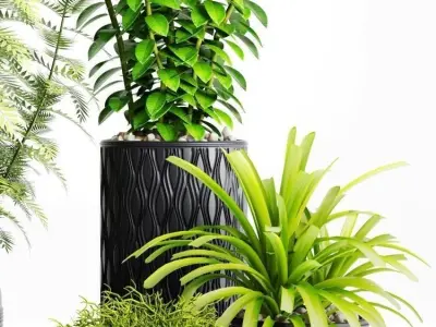 Plants And Planters 5 3D model