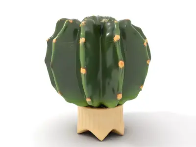 Green Cactus Decor model pack Low-poly 3D model