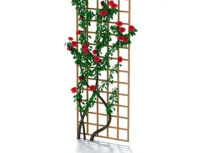 Climbing Flowers 3D model