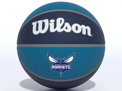 Wilson Charlotte Hornets Basketball  3D model