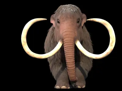 Woolly Mammoth - Mammuthus primigenius 3D model