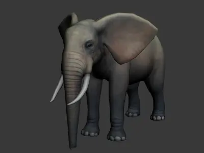 Elephas elephant Low-poly 3D model