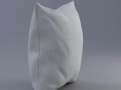 Solid Pillow 2 3D model