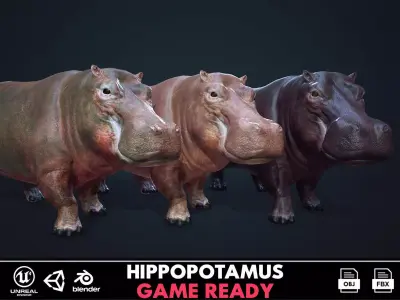 Hippopotamus - Game Ready Low-poly 3D model