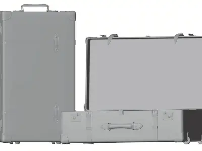 Decorative trunks HG2 3D model