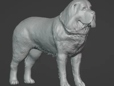 Kangal 3D model