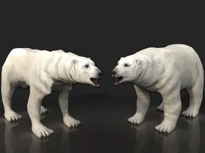 2 Bears - bony skinny starving ravenous emaciated gaunt polar Low-poly 3D model