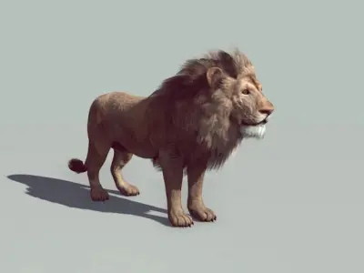 Lion realtime model Low-poly 3D model