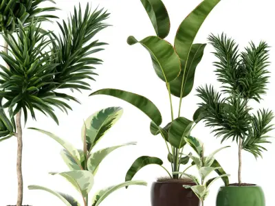 Plants collection 85 3D model