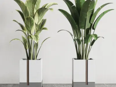 Indoor outdoor plant set 334 dirty wooden and concrete box Low-poly 3D model