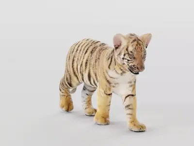 Baby Tiger Cub Animal Low-poly 3D model