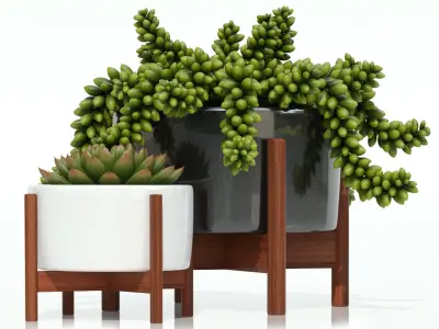 Plants collection 68 Modernica pots 3D model