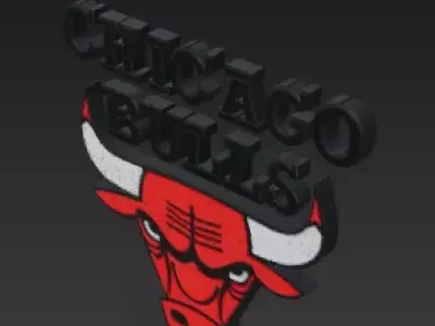 Chicago Bulls NBA Basketball 3D Model Render 3D print model