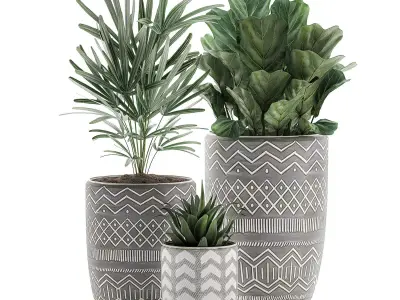 Decorative plants in pots on a stand for the interior 530 3D model