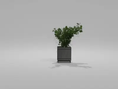Bushes Pack 2 Blender 3D model