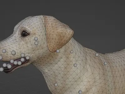 DOG - LABRADOR RETRIEVER  Low-poly 3D model