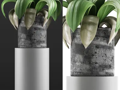 Plants Collection 89 3D model