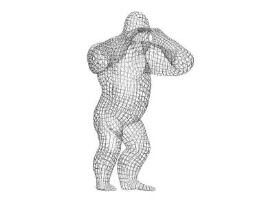 Orangutan Wireframe 3D print model