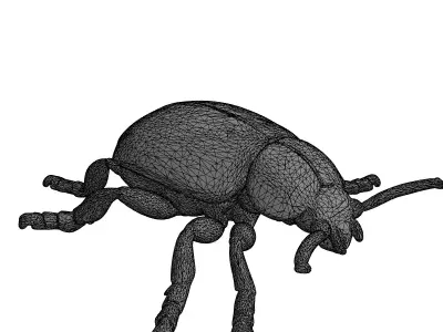 Luxury Golden Metallic Beetle Model Low-poly 3D model