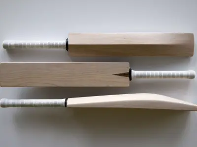 Cricket Bat 3D model