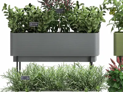 Vegetable garden in the kitchen 1059 3D model