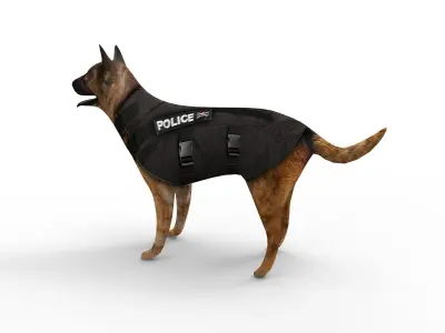 3D Police Dog low poly Model  Low-poly 3D model