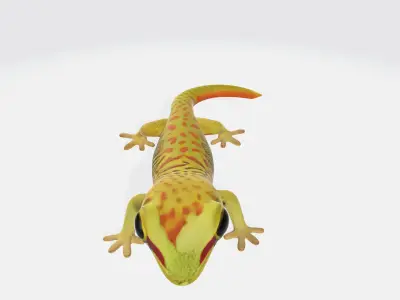 Cute Gecko Lizzard Realistic Model High Poly 3D model