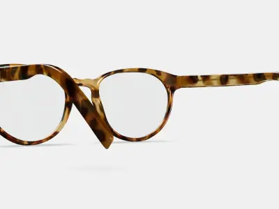 Whalen Eyeglasses in Acorn Tortoise 3D model