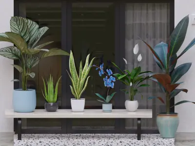 6 Plants Pack  3D model