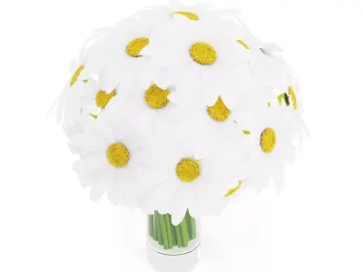 Daisies in Glass Vase 3D model