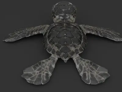 Turtle 3D model