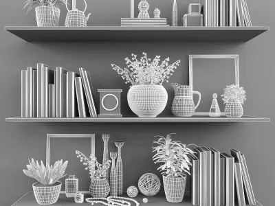 Decorative set shelves with plants and books Low-poly 3D model
