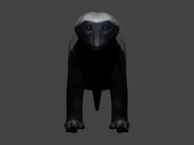 Honey Badger Low-poly 3D model