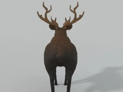 Moose with antlers Low-poly 3D model purchase