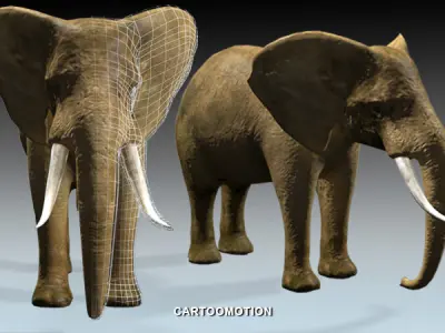 Elephant two elephants Low-poly 3D model