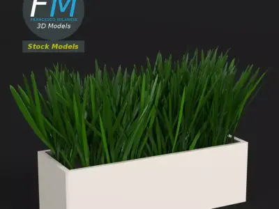 Grass in a pot 2 3D model