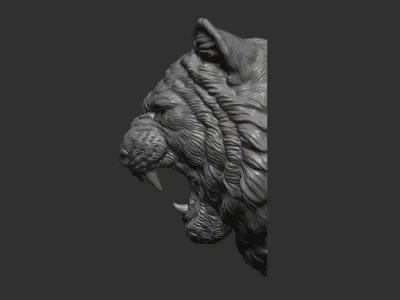 Tiger grin on the wall 3D print model
