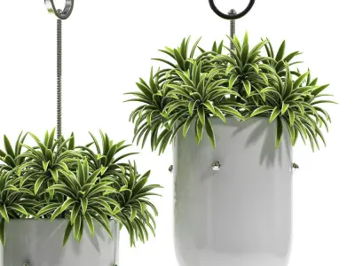 Hanging vase 3D model