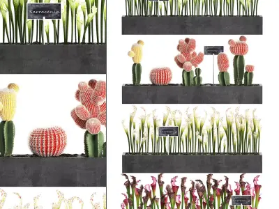 Cactus set wall decor vertical garden 45 3D model