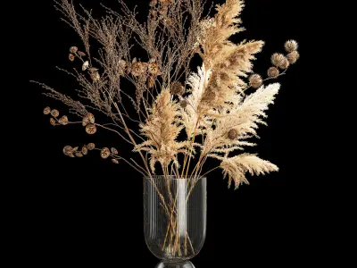 Bouquet of dried flowers with thorn and cardaderia branches 283 3D model