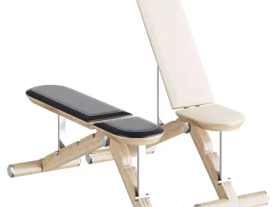 PENT luxury fitness equipment 3D model