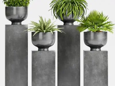 Decorative plant set-48 3D model