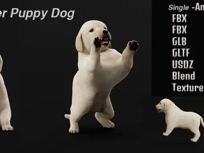 Retriever Puppy Dog 3D model