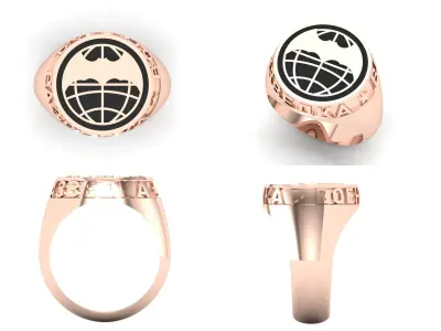 Ring  rz10 3D print model