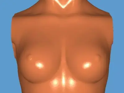 MakeIT Female Bust 3 Piece Top Body Base 3D Model  3D model