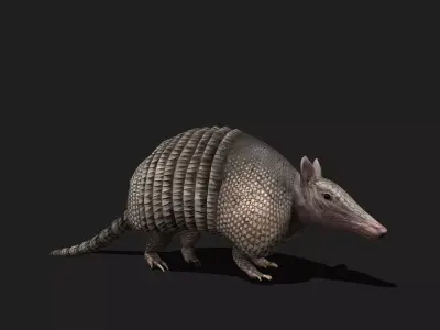 ULTIMATE 3D ANIMAL PACK - 70 percent OFF - All Models Included Low-poly 3D model